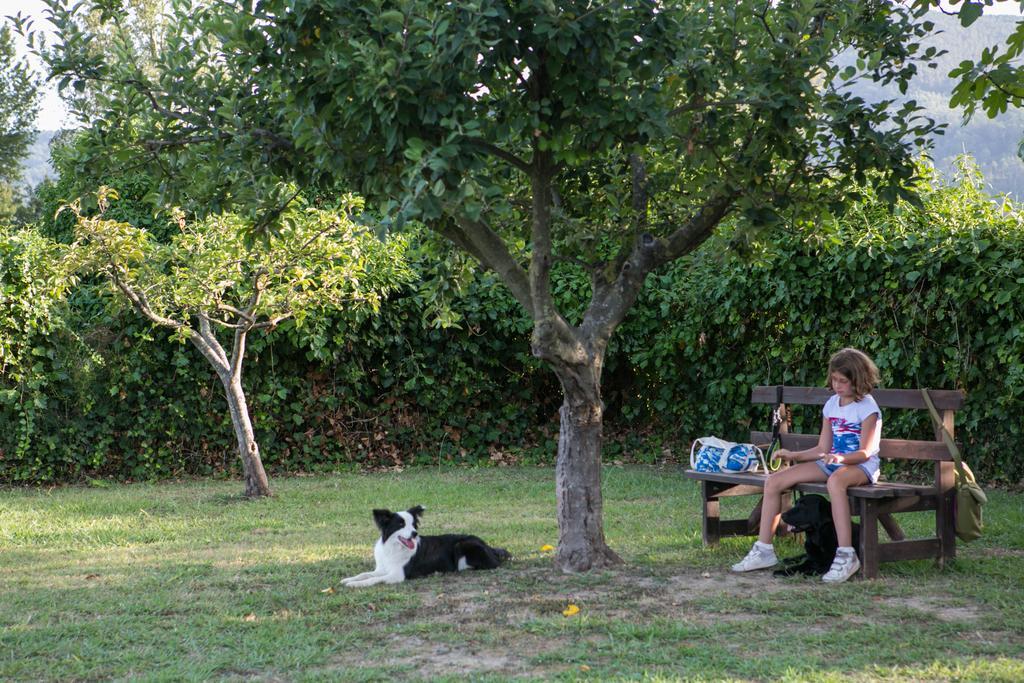 Campsite Camping River 3*