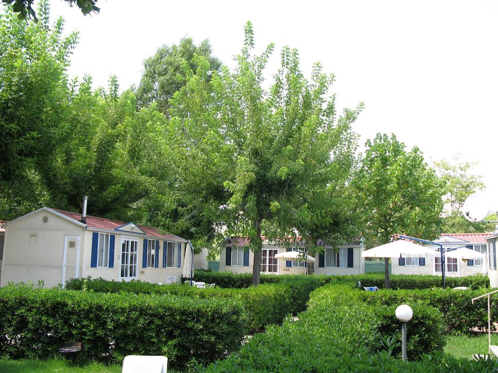 Camping River 3*
